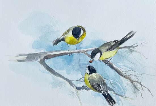 Meisen Vögel niedlich Aquarell