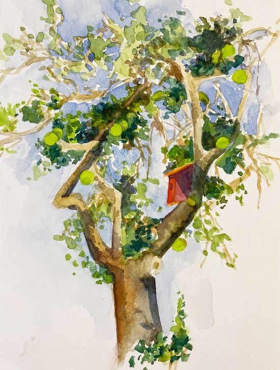 Apfelbaum Vogelhaus Baum Aquarell malen