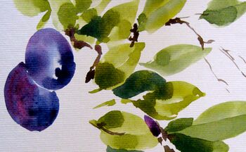 Pflaumen malen malanleitung aquarell