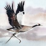 Kranich Aquarell malen lernen