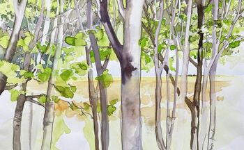 Birken im wald im Aquarell gemalt Birken gemalt