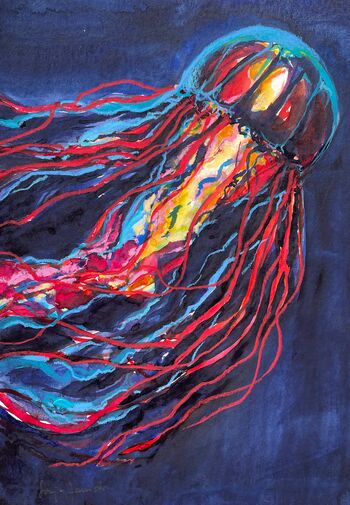 bunte Qualle im Aquarell gemalt