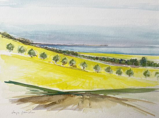 malen am meer rapsfeld raps an der See Aquarell
