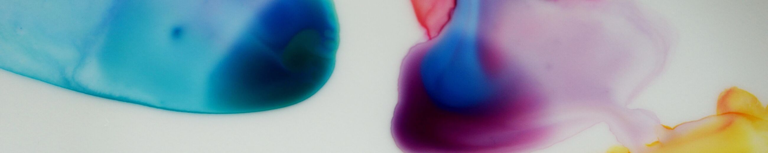 aquarell farben sonja jannichsen
