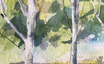 malanleitung birken malen aquarell Birken im Aquarell