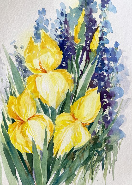 gelbe Iris mit blauem Rittersporn gemalt aquarell