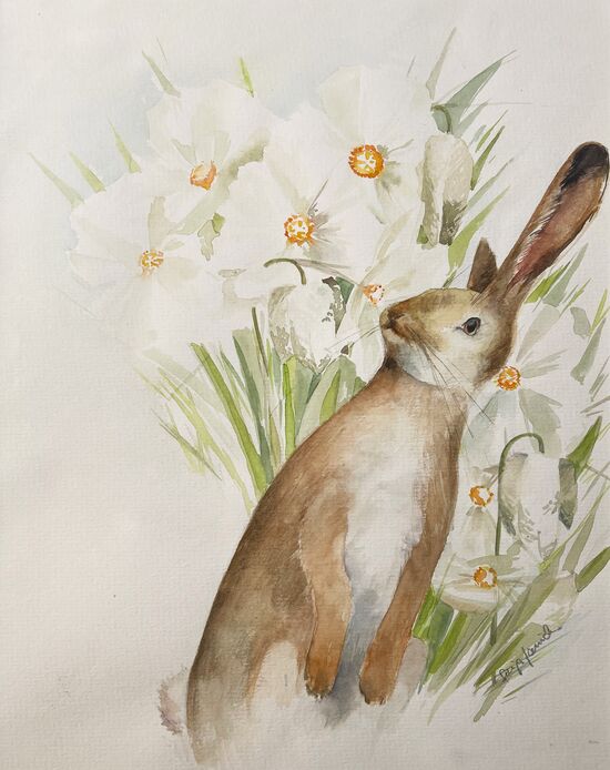 hase in weißen narzissen Tier im Aquarell