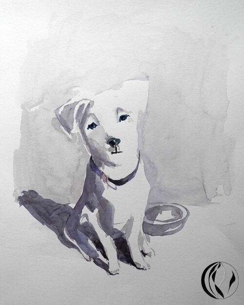 malen am meer weisser hund weisser hund tier im aquarell