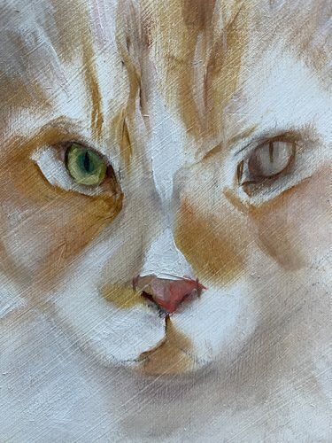 Katze in der Ölmaleei