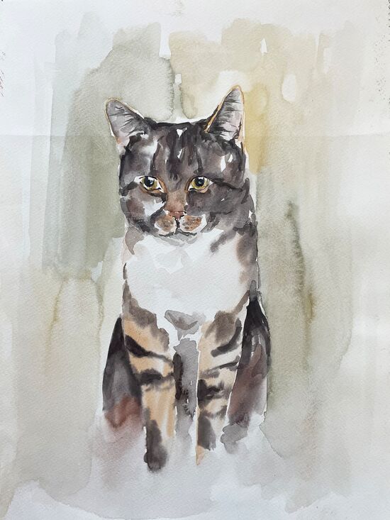 katze sitzend aquarell malerei tiere