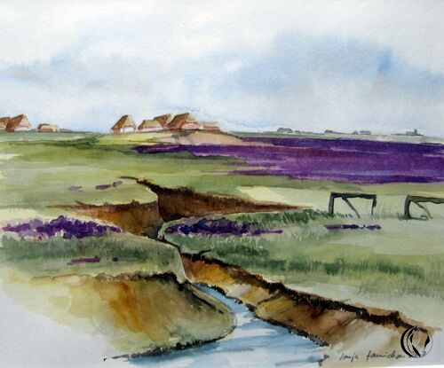 malen am meer hallig langeness Hallig Langeness im Aquarell mit Halligflieder