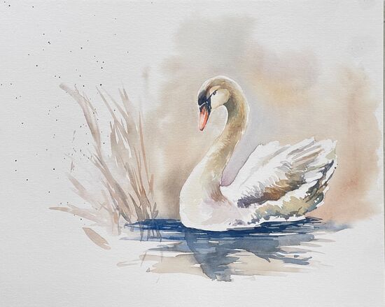 malen am meer Schwan im Wasser weißer Schwan gemalt im Aquarell