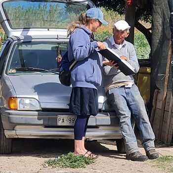 austausch in sizilien artischocken und die malerei auf sizilien