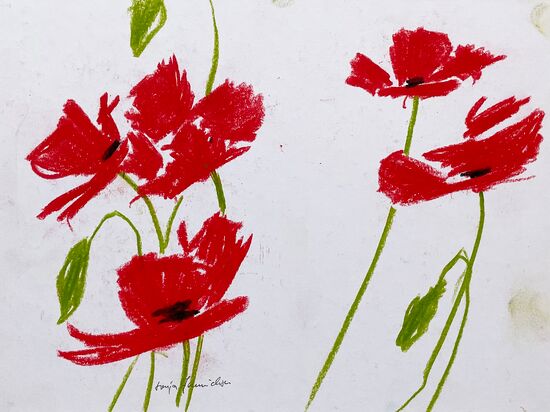 roter Mohn Blume malen Wachskreiden