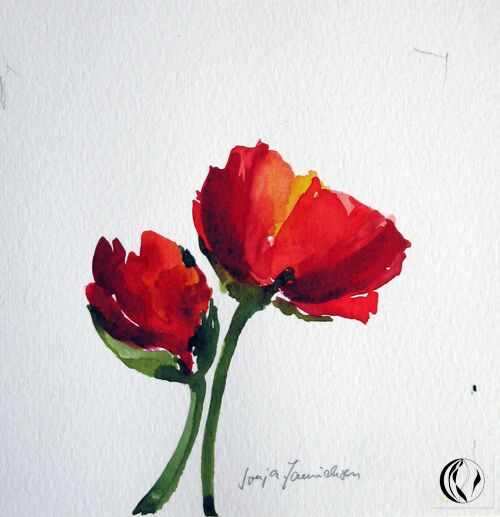 roter mohn einzelblüte im Aquarell malen