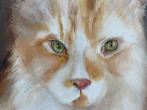 augen malen bei einer katze katzenporträt in öl