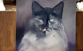 graue katze gemalt porträt