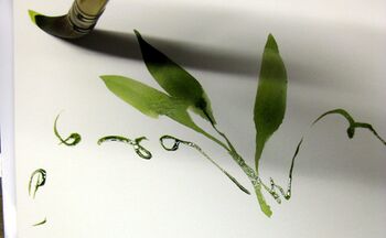 malanleitung wicken im aquarell blume wicken