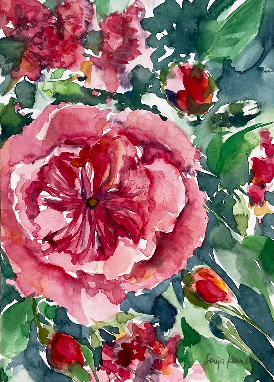 rosa Rose der Liebe Blumen malen Aquarell