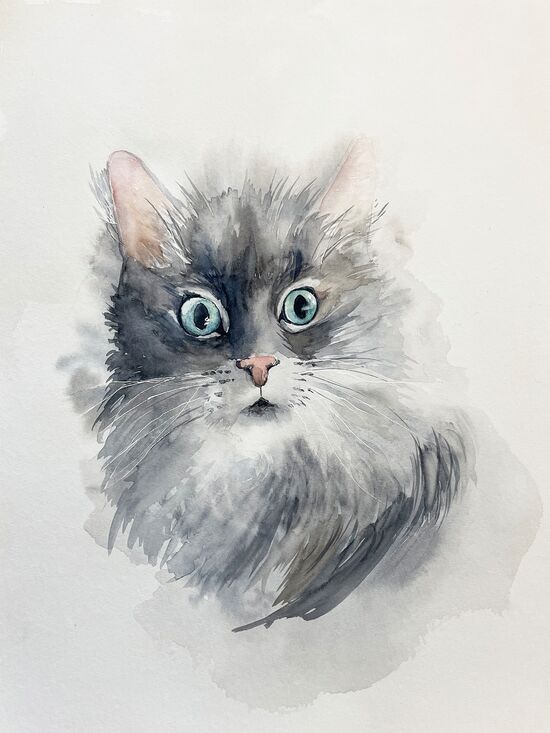 katze augen aquarell malerei tiere