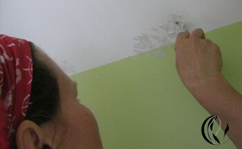 auf wand rosen gespachtelt acryl auf wand