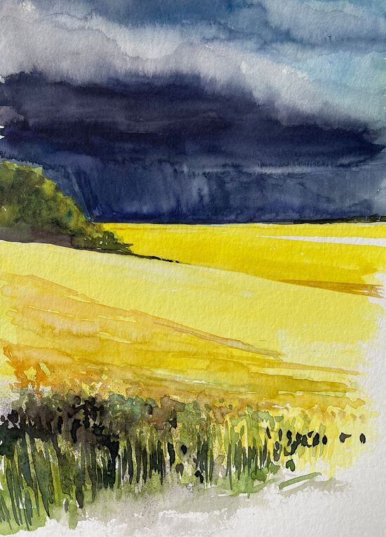 malen am meer Raps und Gewitterhimmel Raps mit Gewitterhimmel im Aquarell