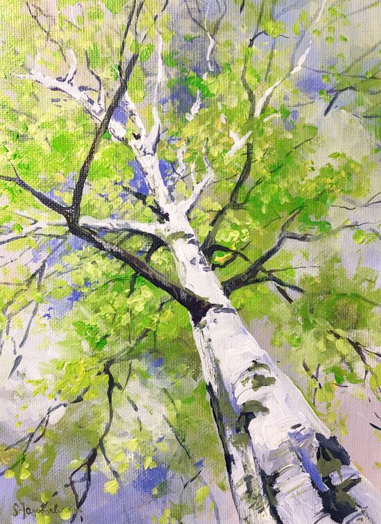 Birke von unten Baum Ölbild malen
