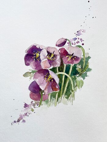 christrosen aquarell malerei blumen frühling