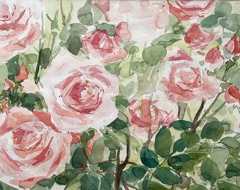 rosen rosa aquarell malerei