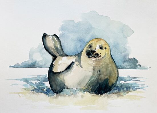 malen am meer seehund 01 Seehund am Strand Tier malen Aquarell