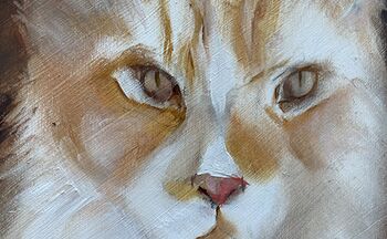 augen malen bei einer katze katzenporträt