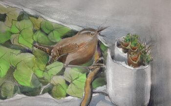 zaunkönig vogel malerei pastell aquarell gemälde tiere