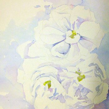 aquarell rose