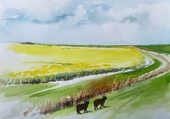 schwarzes Schaf am Deich Aquarell