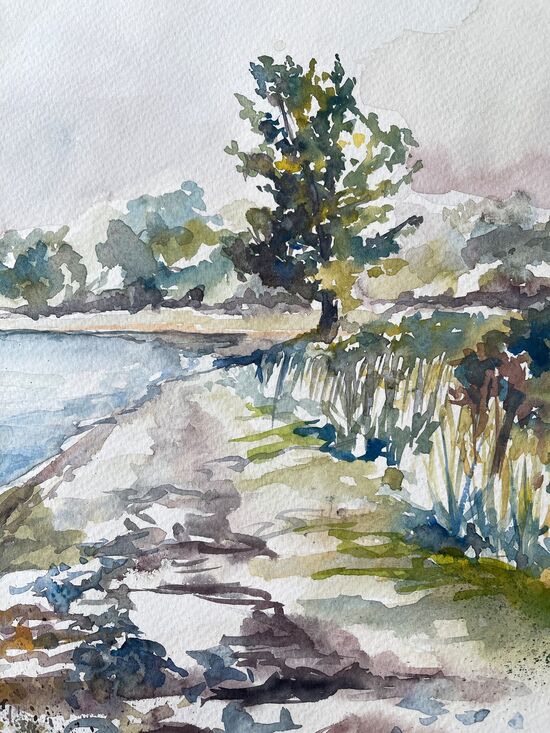 malen am meer baum am strand baum strand wasser aquarell
