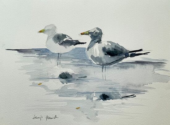 möwen malerei aquarell meer tiere