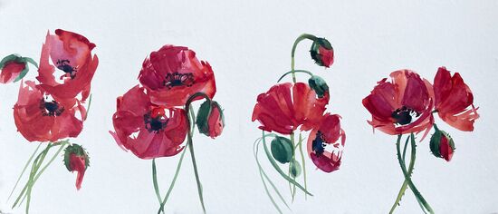 malen am meer mohn mohn Blume im Aquarell