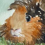 Meerschweinchen malen Aquarell zeichnen