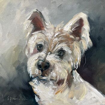 Tierportraits-Galerie