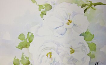malanleitung weiße rose aquarell weiße rose