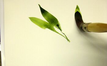 malanleitung aquarell wicken blume wicken malen