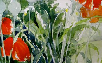 mohn und margeriten anleitung aquarell blumenbild anleitung malen