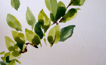 Pflaumen malen malanleitung aquarell