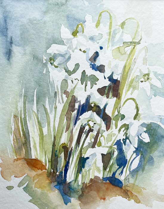 malen am meer schneeglöckchen Blume schneeglöckchen weiß im Aquarell