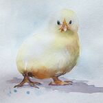 Küken im Aquarell Tier Federkleid