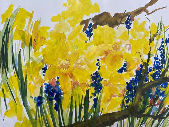 Osterglocken Nazissen Blumen malen Aquarell gelb