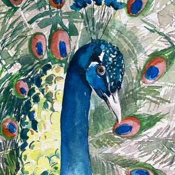 aquarell tier pfau