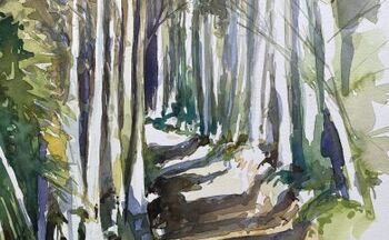 birken und ein weg Birken im Wald Landschaft im Aquarell