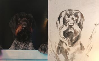 hund auf wand gemalt acrylmalerei