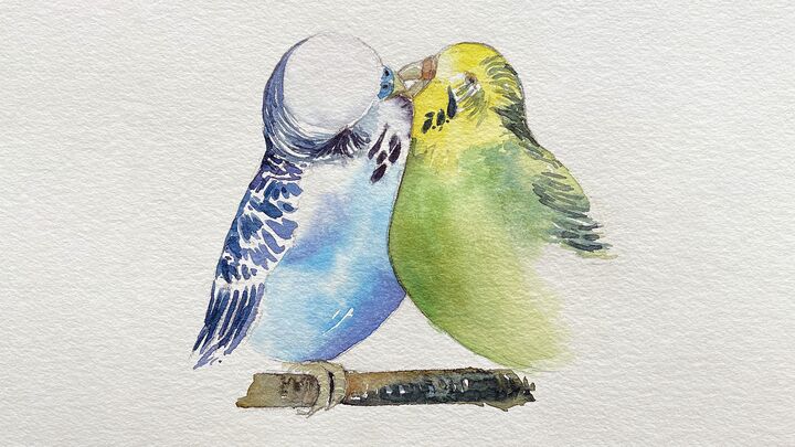malen am meer schnäbelnde wellensittiche aquarell schnäbelnde Wellensittiche Aquarell malen zeichnen